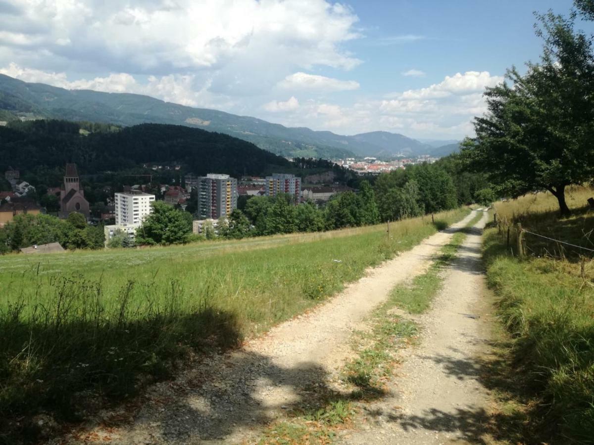 Privatzimmer Wagner Leoben  Exterior foto